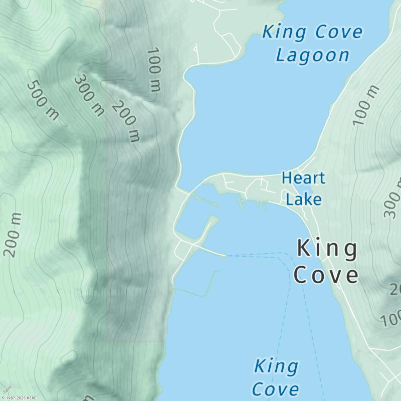Tide times for King Cove Tides Today