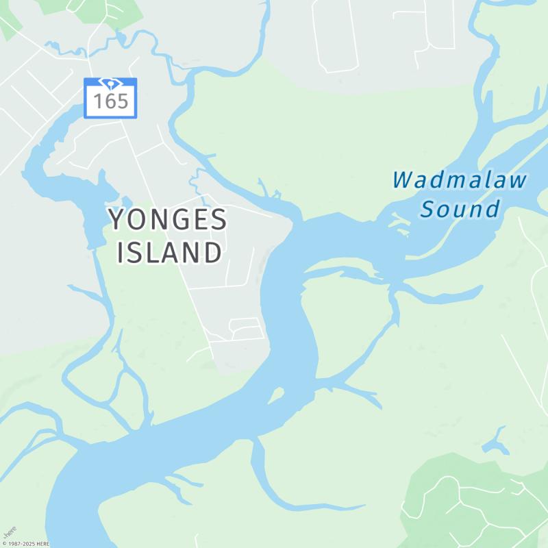 Tide times for Yonges Island Tides Today