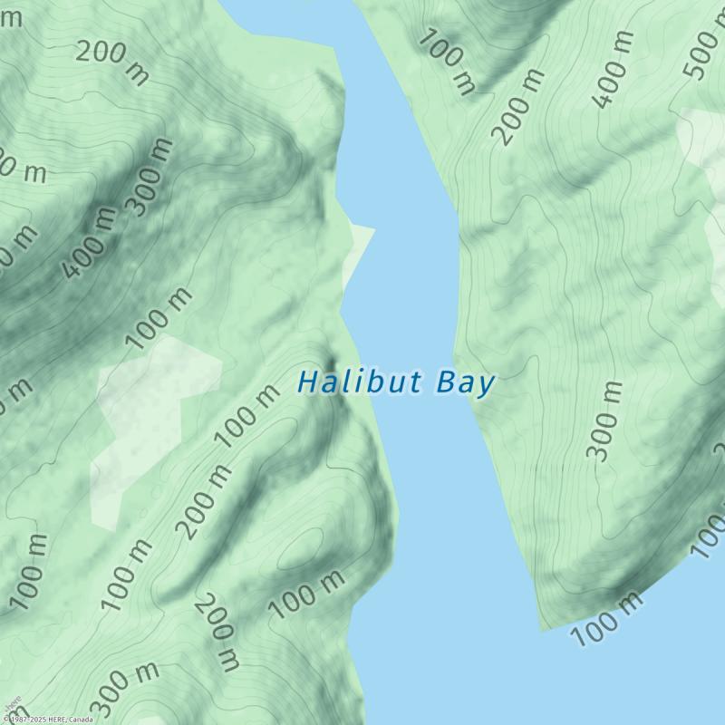 Tide times for Halibut Bay Tides Today
