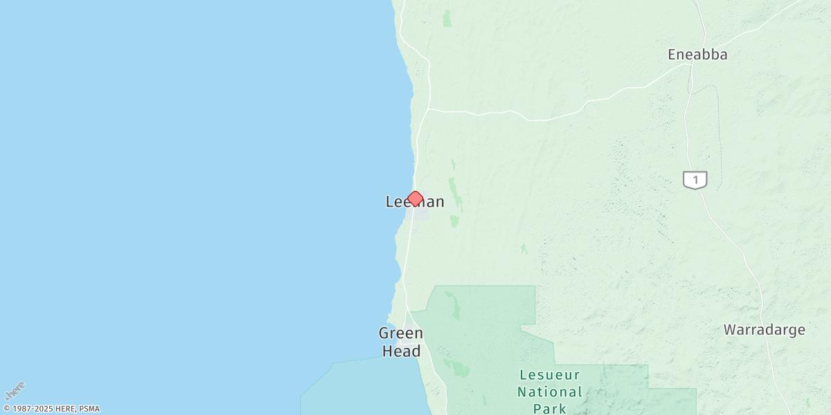 Map of Leeman