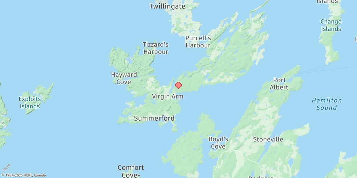 Map of Dark Cove (Dildo Run)