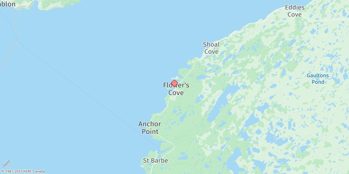 Map of FLOWERS COVE