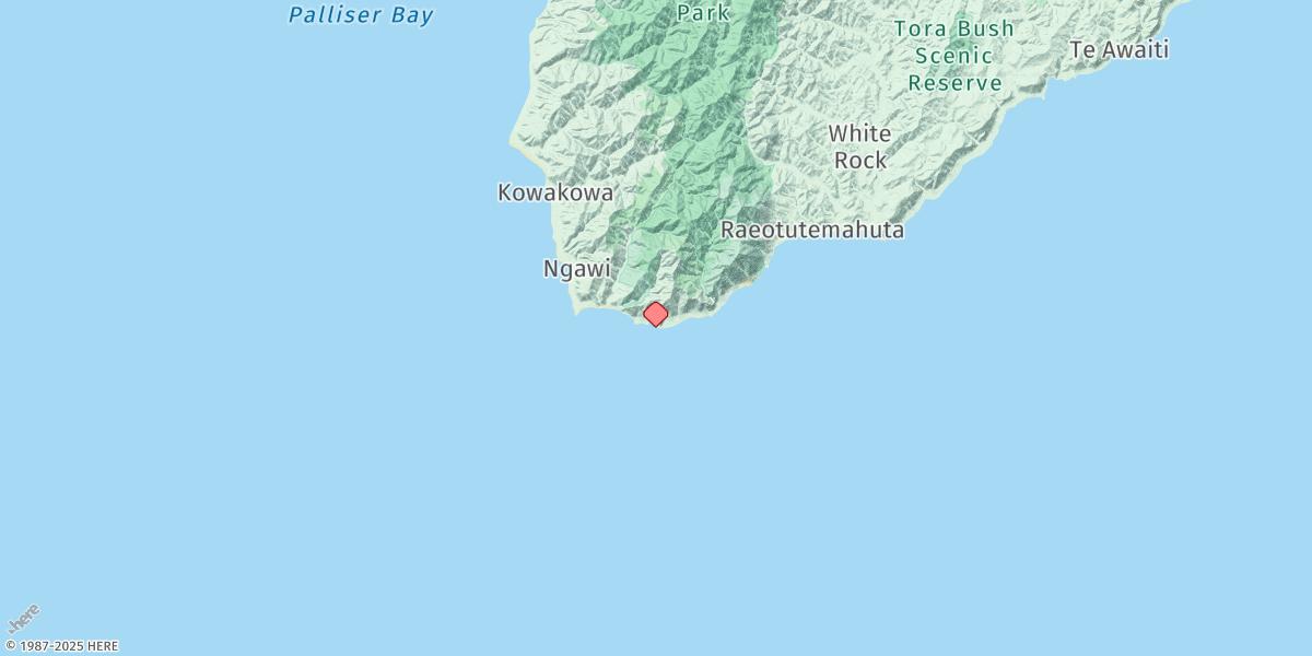 Map of Cape Palliser (Matakitakiakupe)