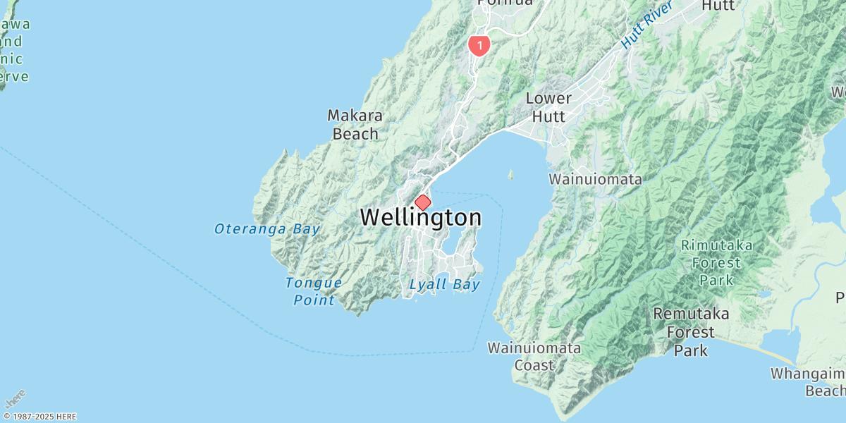 Map of Wellington