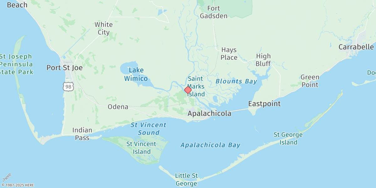 Map of Apalachicola River (A&n Rr Bridge)