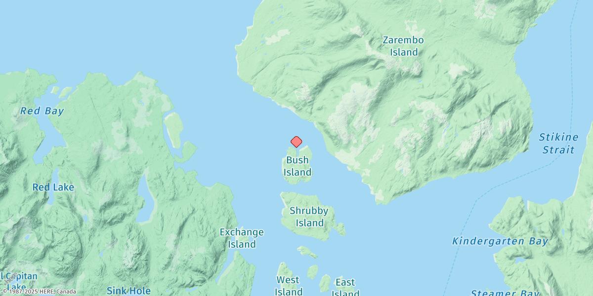 Map of Bushy Island, Snow Passage