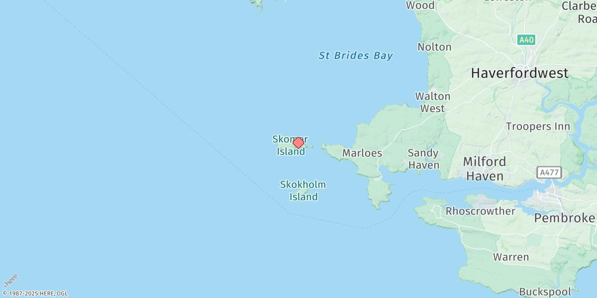 Map of Skomer Island