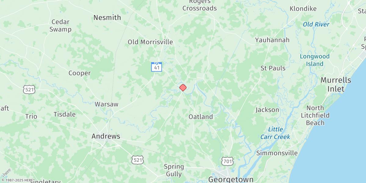 Map of Winea Plantation, Black River