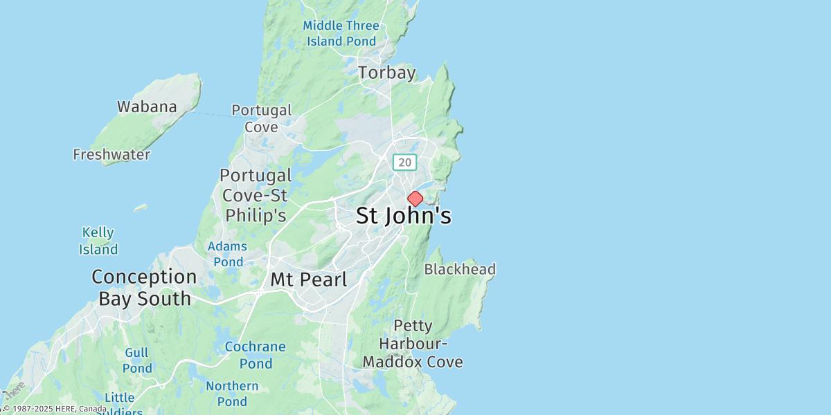 Map of St. John's Harbour