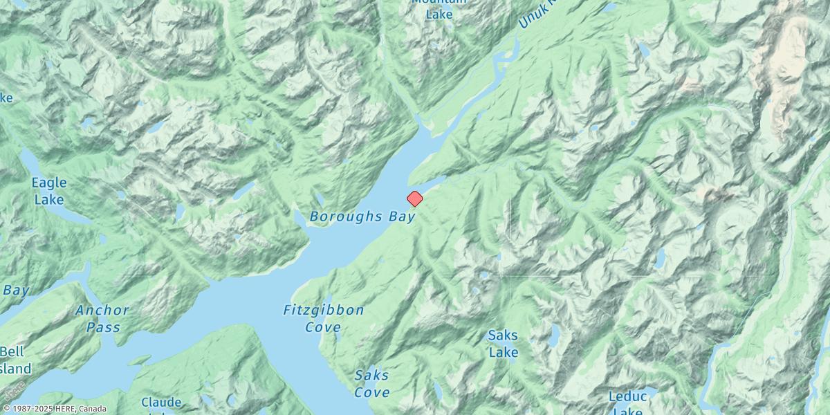 Map of Burrough Bay, Behm Canal