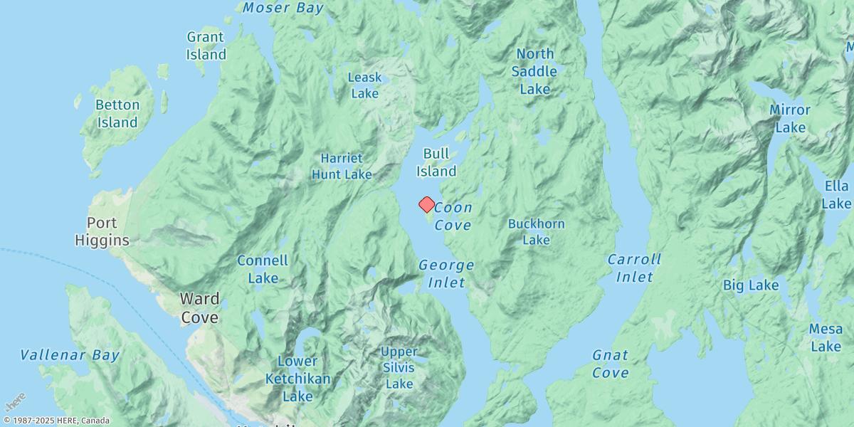 Map of Coon Island, George Inlet