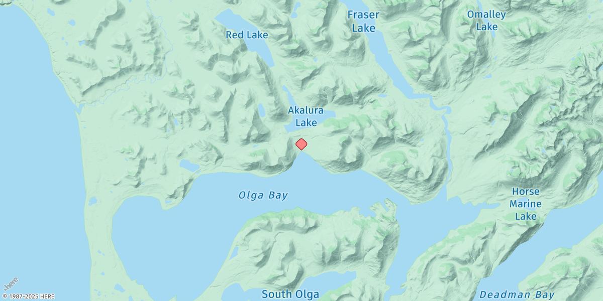 Map of Olga Bay (A. P. A. Cannery)