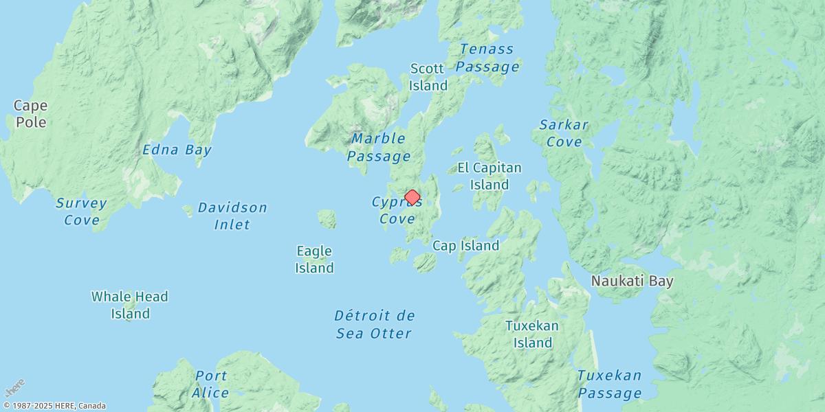 Map of Cyrus Cove, Sea Otter Sound