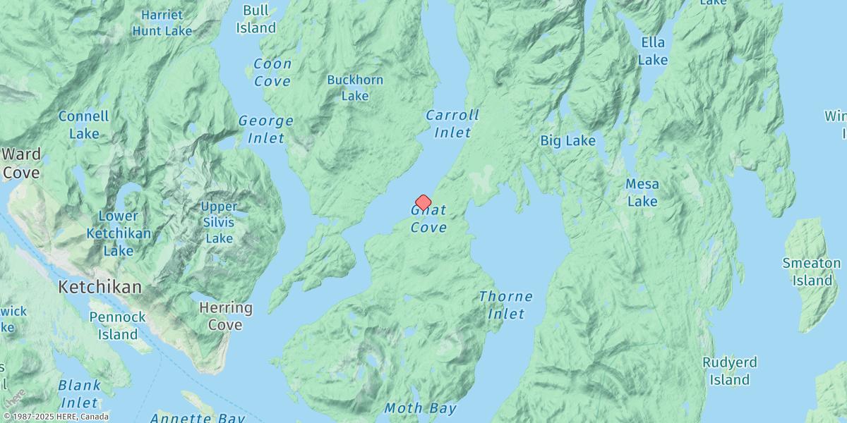 Map of Gnat Cove, Carroll Inlet, Revillagigedo Channel