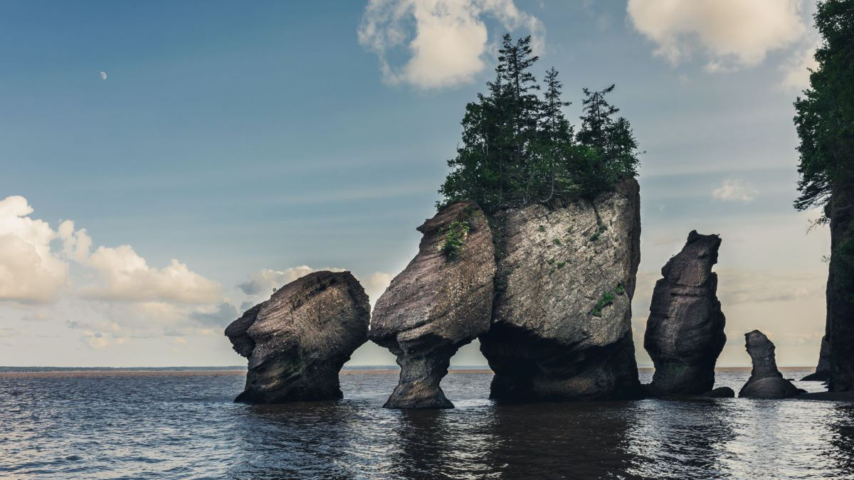Where are the world's largest tidal ranges?