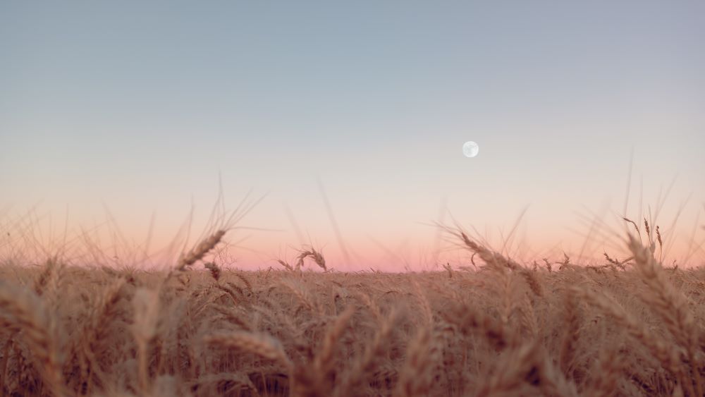 A Hunter's moon is coming, but what is it and why is it important?
