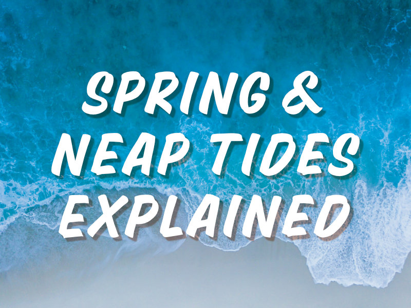 Explained: What is a neap tide and what is a spring tide?
