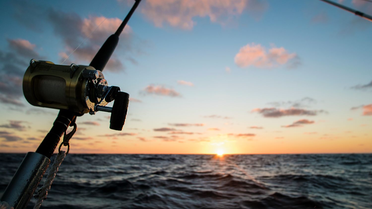 How to use the tides to improve angling